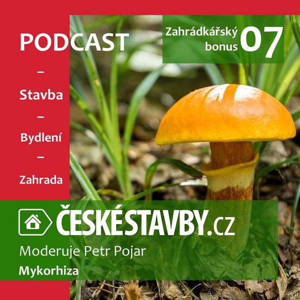 Podcast ČESKÉ STAVBY.cz